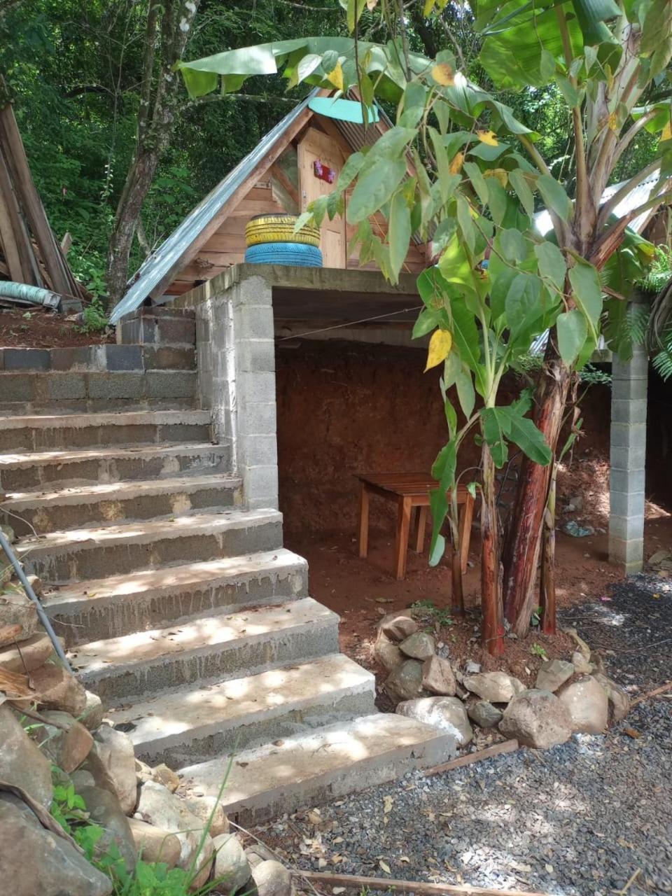 Urbanos Jungle Hostel Santa Catalina Exterior photo